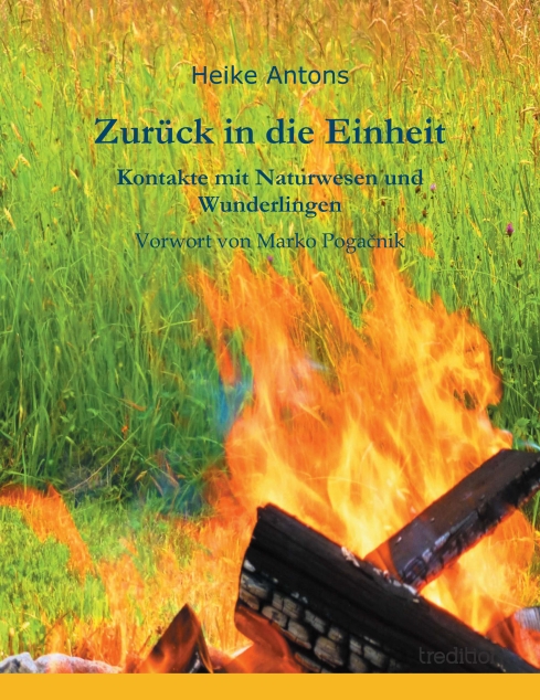 Seitenanzahl: 208
ISBN: 978-3-8495-5152-0
Paperback 21,00 €
Verlag Tredition