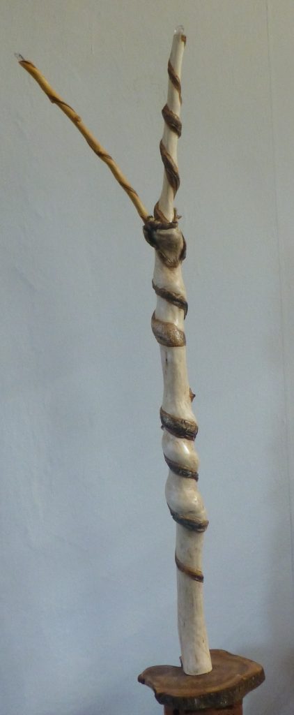 Birkenstab-Omphalos