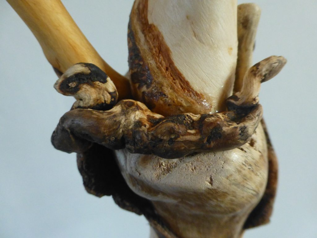 P1180596