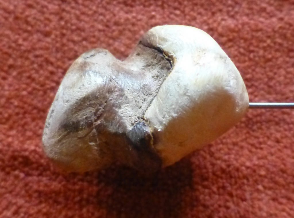 Ansicht 1